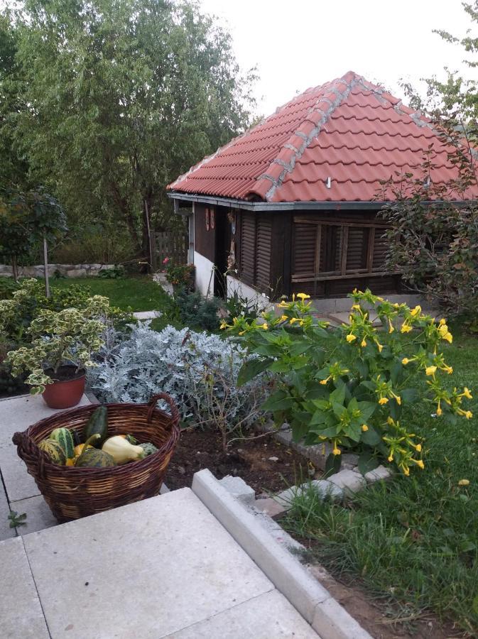 Apartman Civovic Rudnik Εξωτερικό φωτογραφία