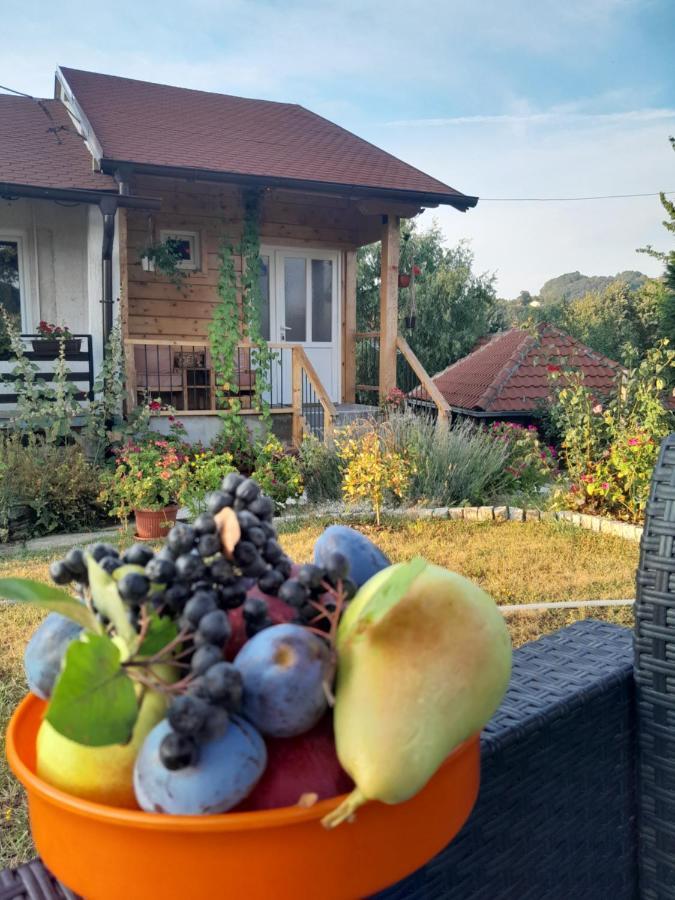 Apartman Civovic Rudnik Εξωτερικό φωτογραφία